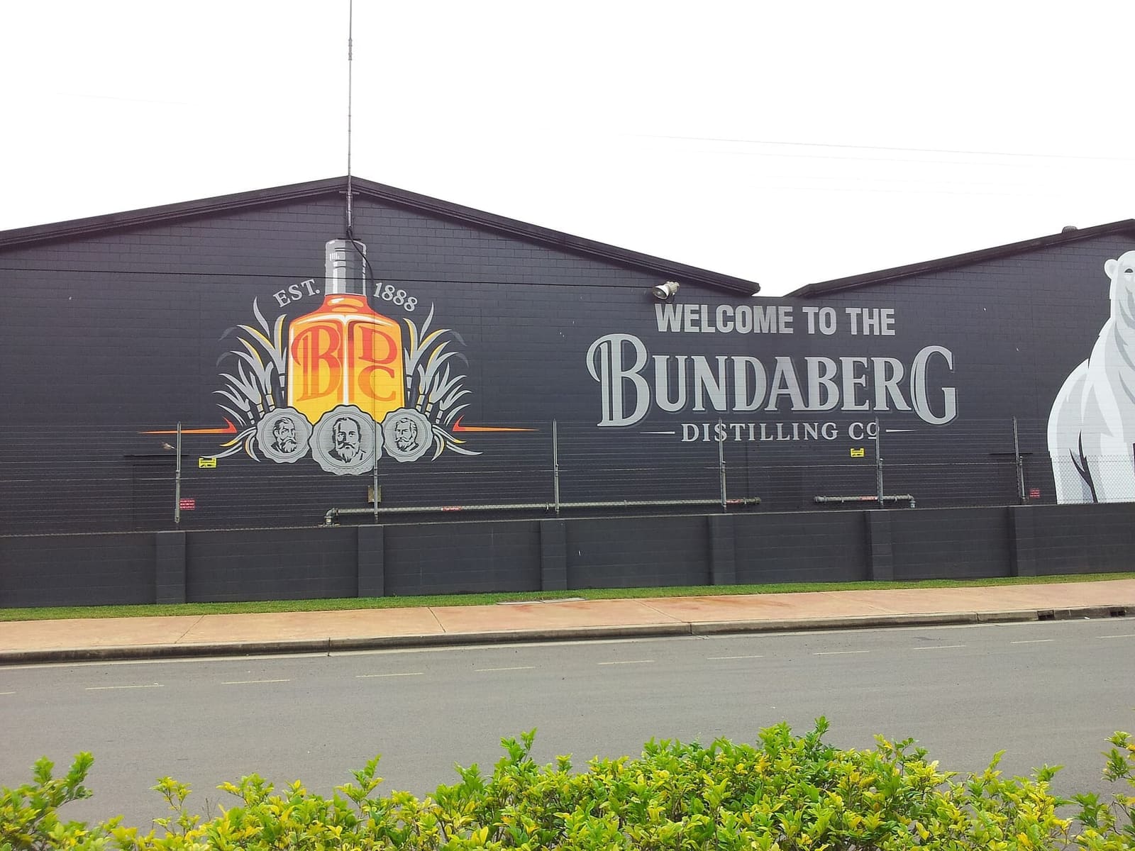 The Bundaberg Distilling Co. building with its polar-bear mural