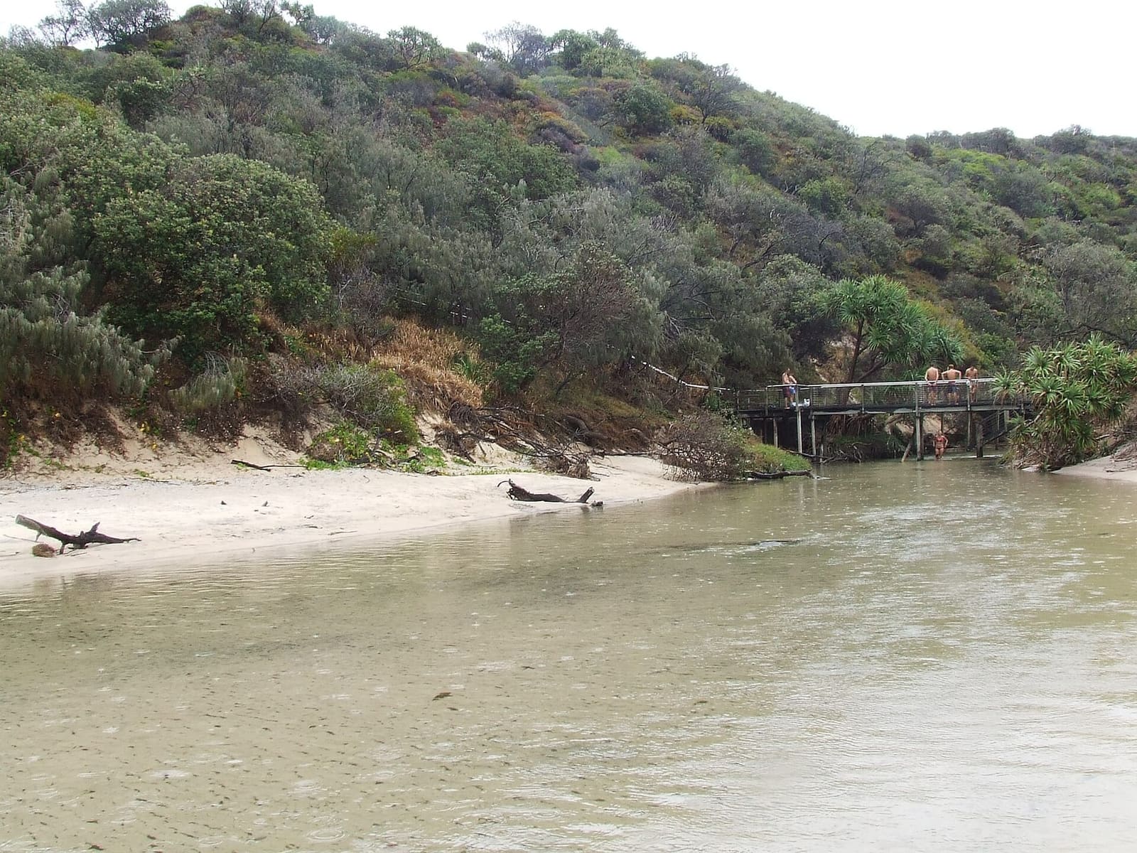 Eli Creek's clear water running across the beach, with the boardwalk and bush behind