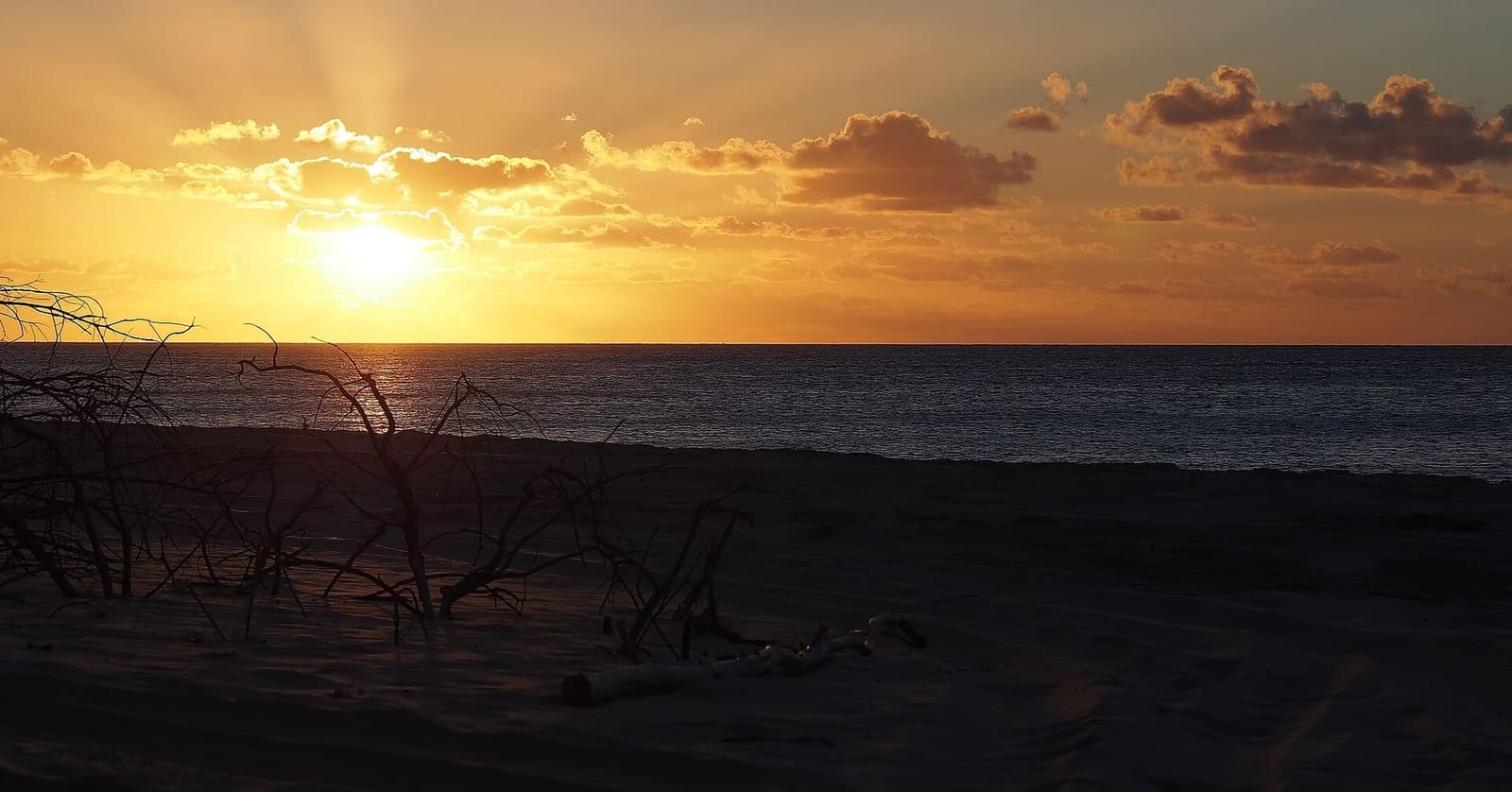 Sunrise over the ocean from a K'gari beach