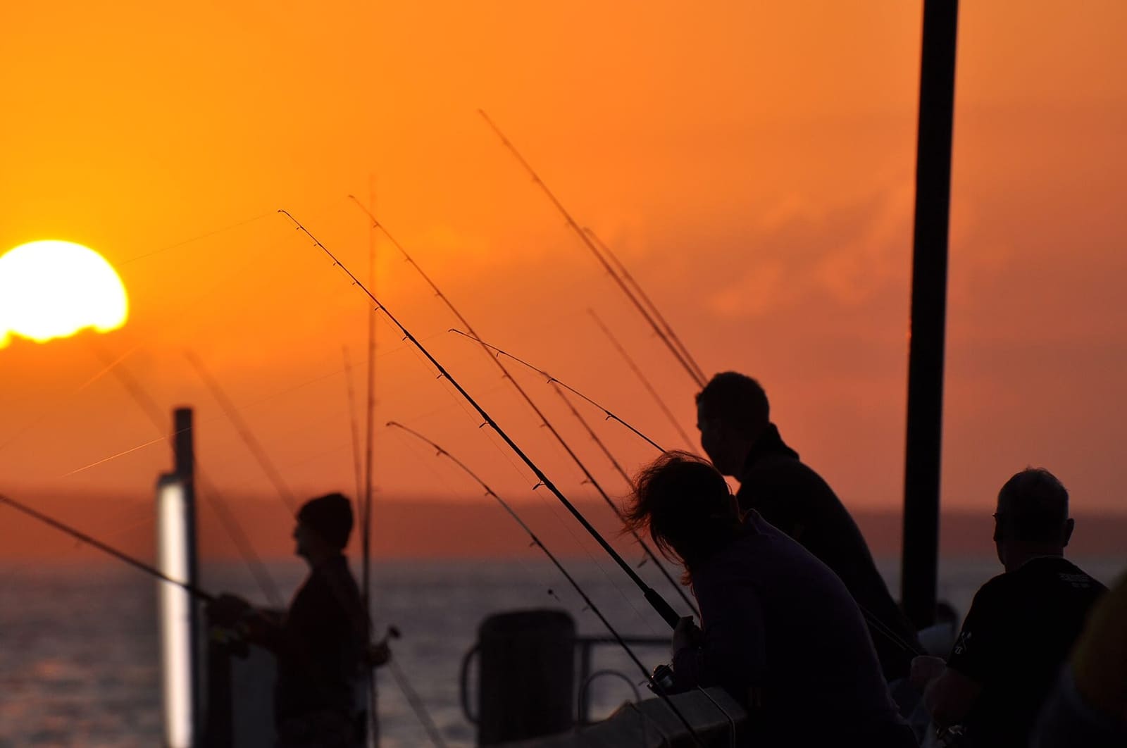 Silhouettes fishing from the Kingfisher Bay jetty at sunset