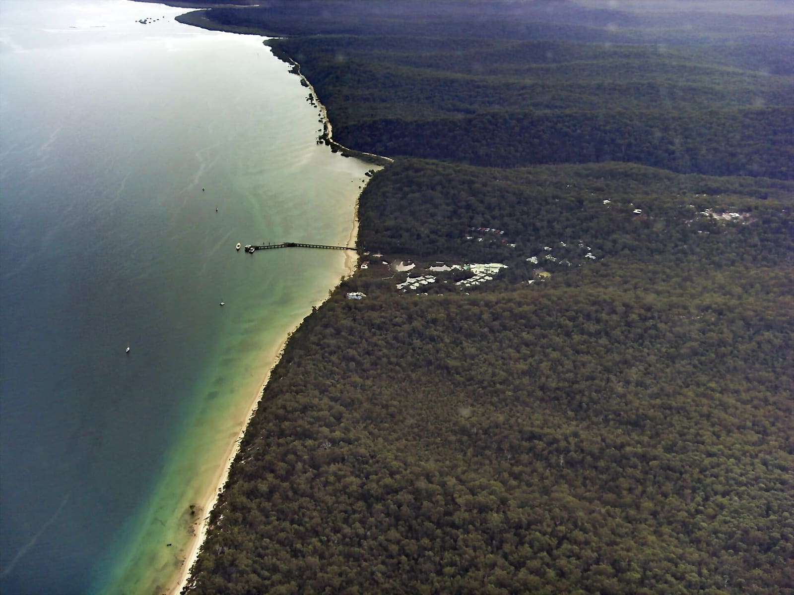 Aerial view of K'gari's west coast shoreline and forest near Kingfisher Bay