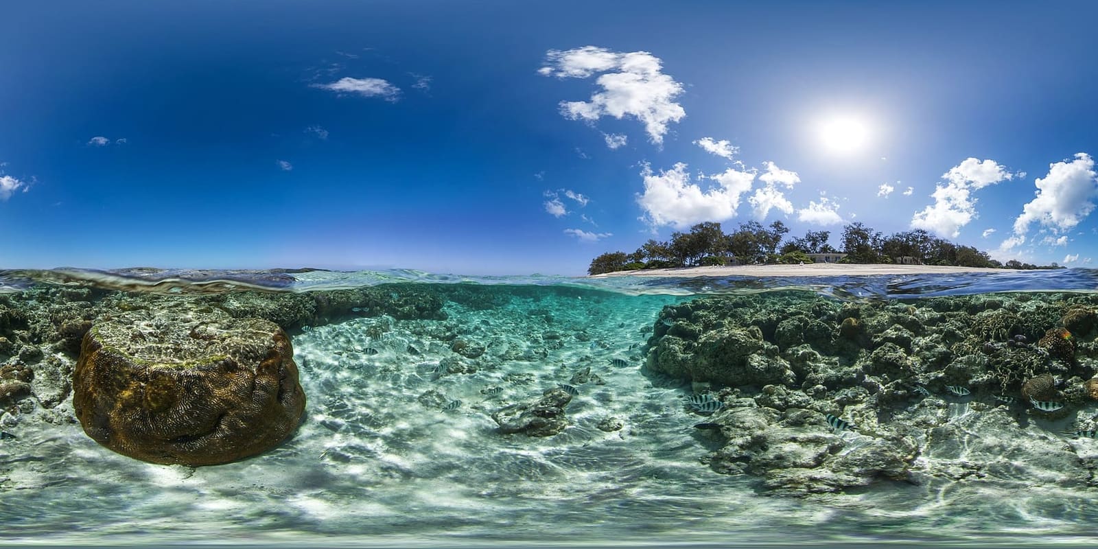 Split view of coral reef underwater and Lady Elliot Island's low green cay above