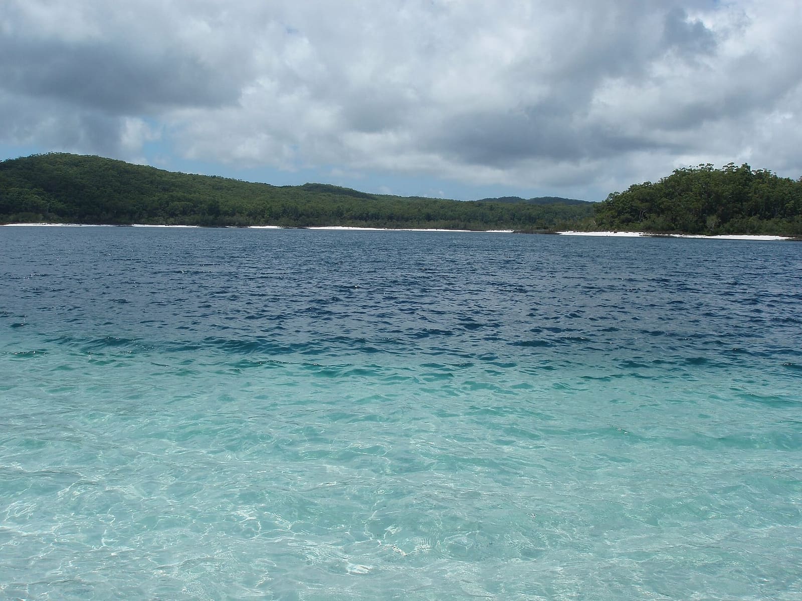 Clear turquoise shallows over white sand at Lake McKenzie (Boorangoora), forest behind