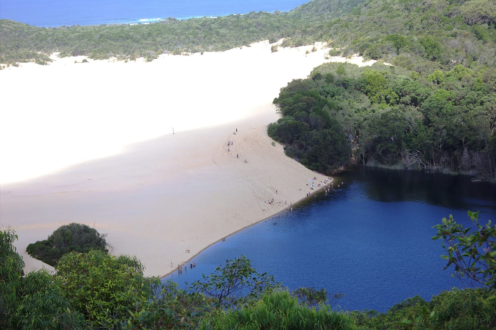 Lake Wabby, a dark green lake at the foot of the Hammerstone Sandblow on K'gari