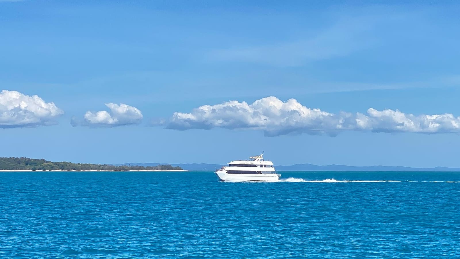 A white fast catamaran tour boat crossing blue water at Platypus Bay, K'gari