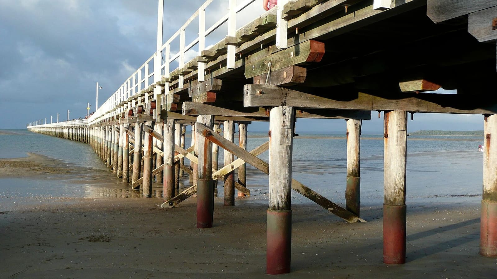 Urangan Pier from beneath, the long timber jetty running out over the flats